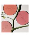 Mineral Blush Magnetic Blush Madara Cosmetics Shades