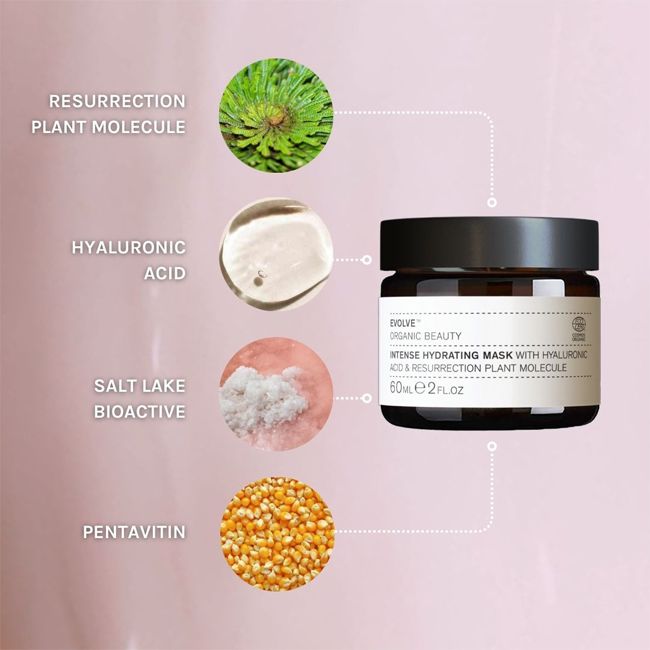 Evolve Beauty's Intense Hydratation natural face Mask Ingredients