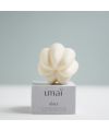 Umaï's gentle solid shampoo Packaging