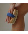 Oryza Lab's Toning Dry Body Brush Application